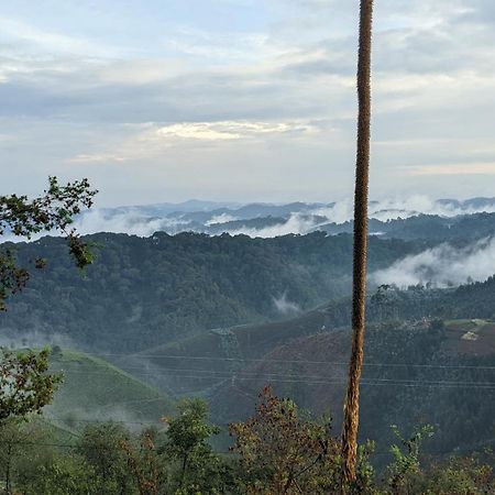 Nyungwe Village Kitabi Exterior foto
