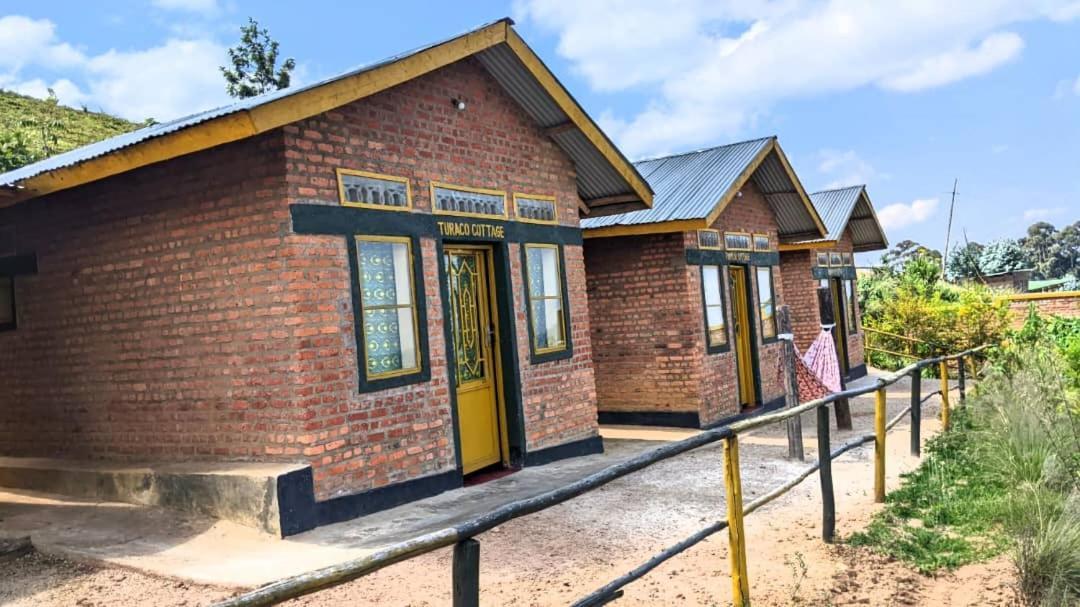 Nyungwe Village Kitabi Exterior foto