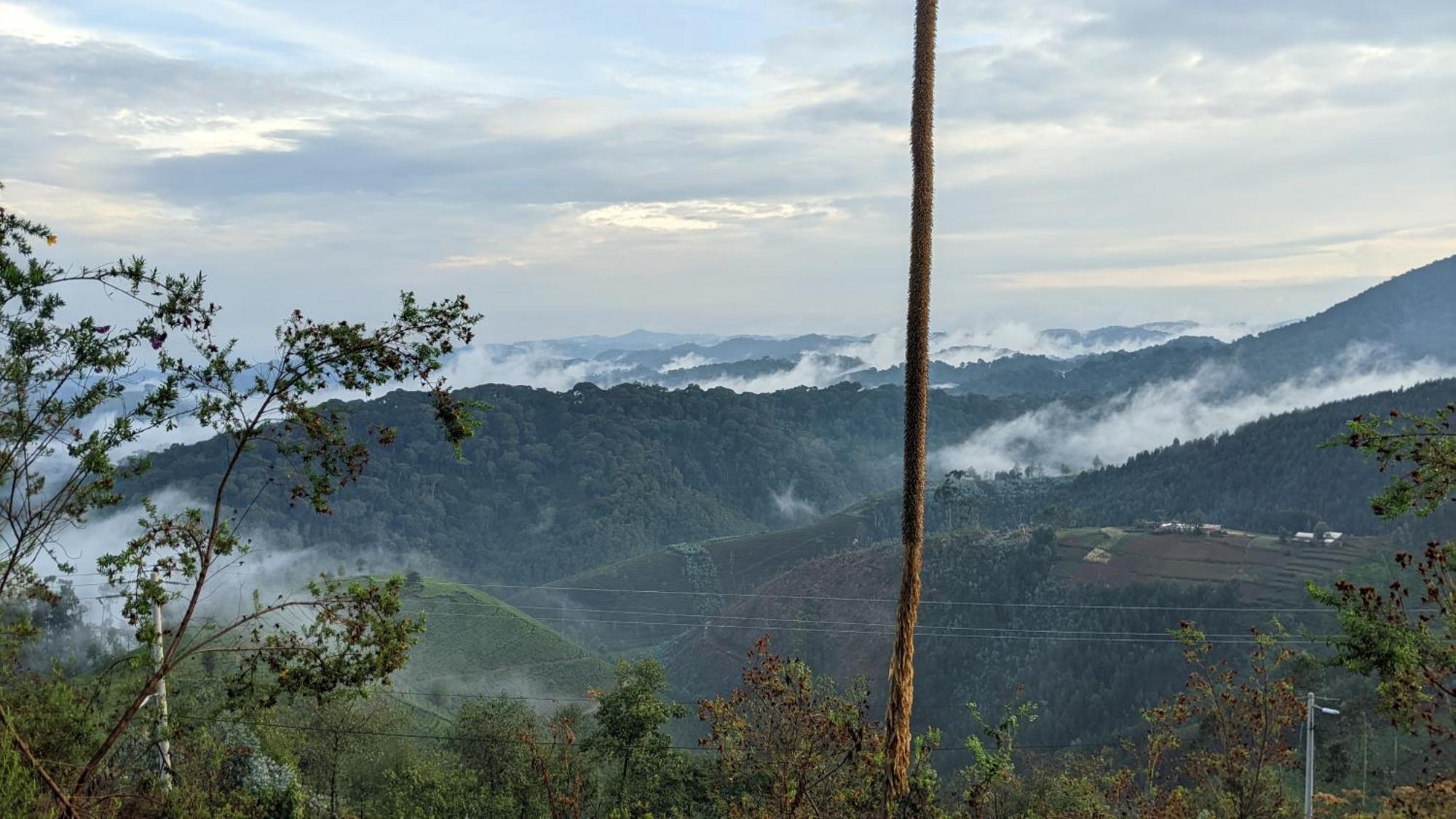 Nyungwe Village Kitabi Exterior foto