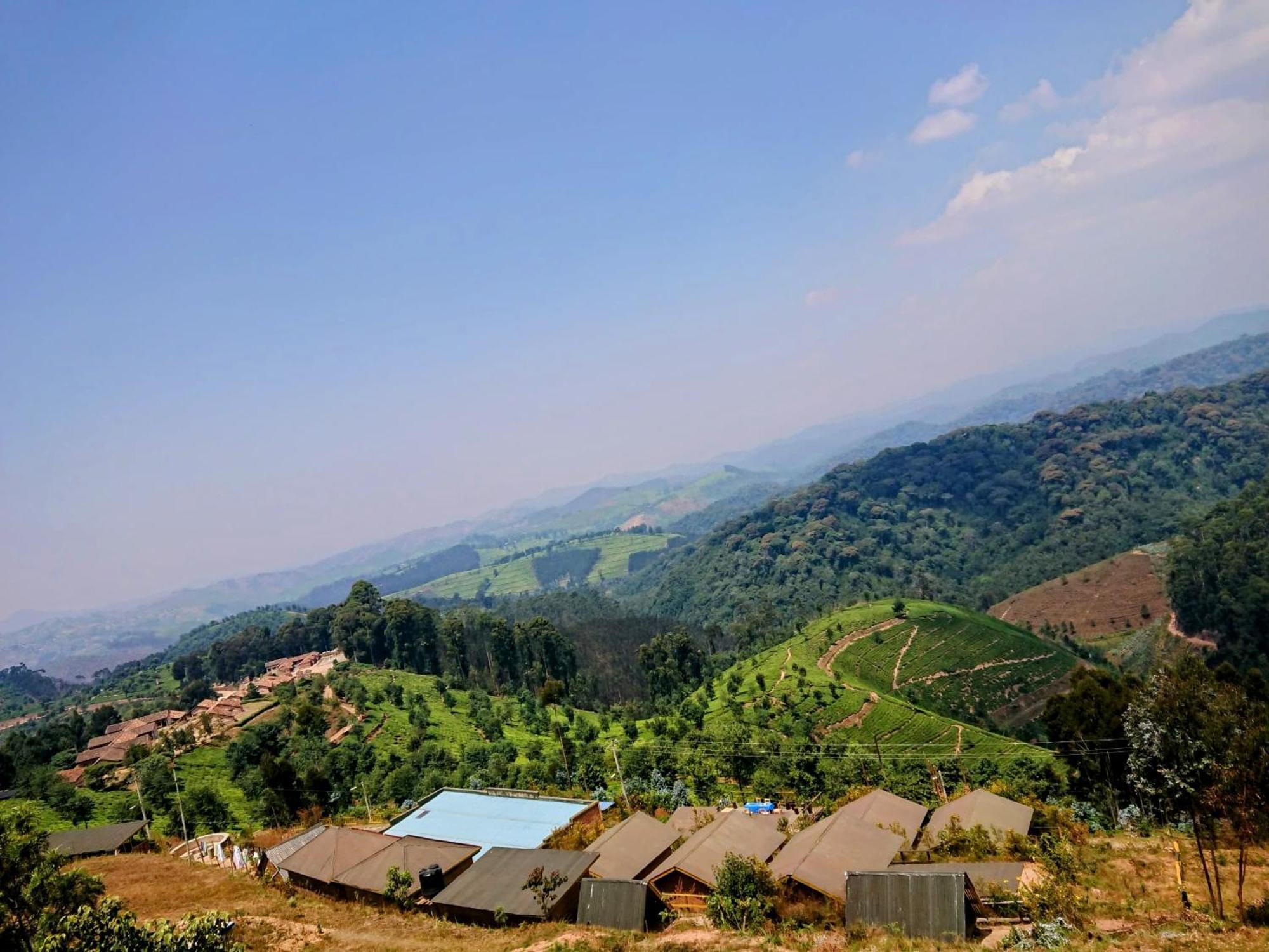 Nyungwe Village Kitabi Exterior foto