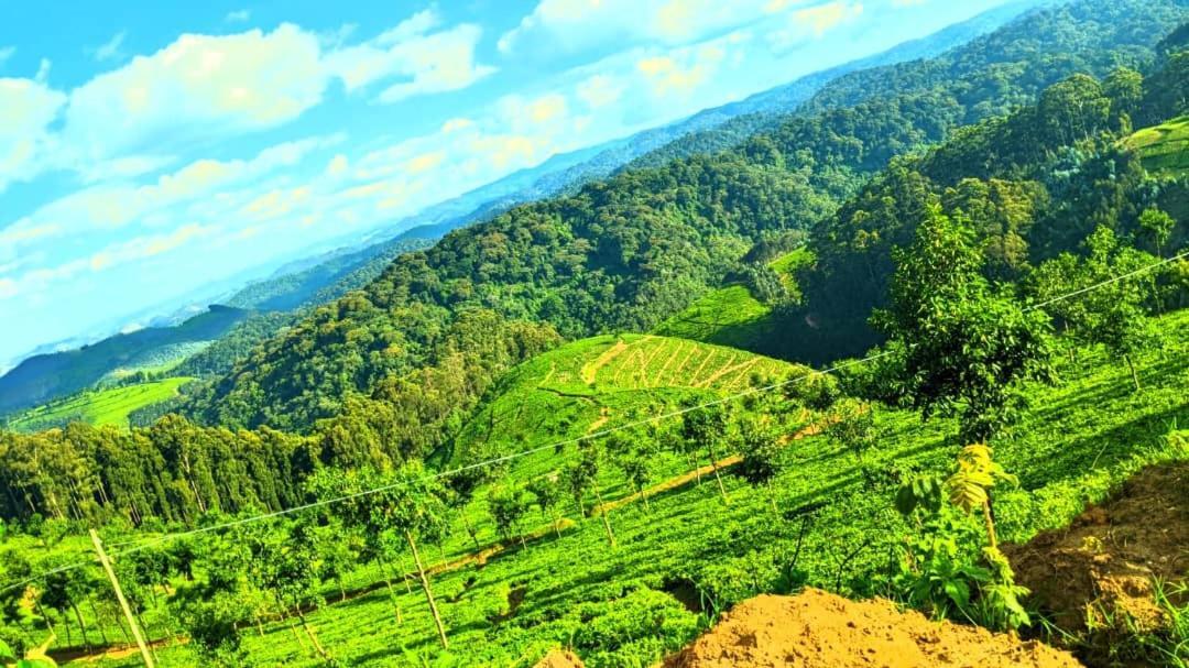 Nyungwe Village Kitabi Exterior foto